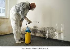 Best Mold Removal for HVAC Installations  in Willmar, MN